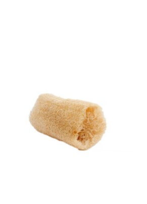 Bucha Vegetal Grande-  Beaty - Pacote c/12
