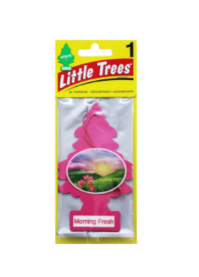 Aromatizante para carro - Little Trees  - Manhã refrescante